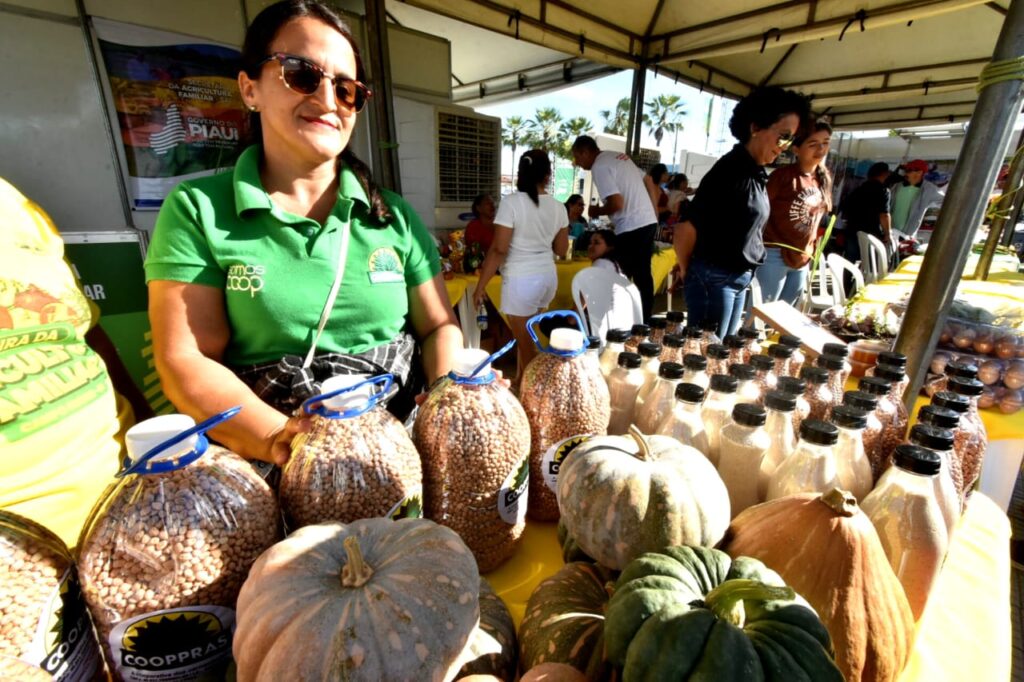 Feira de Serviços do Diálogos pelo Piauí fortalece o acesso à cidadania em Campo Maior