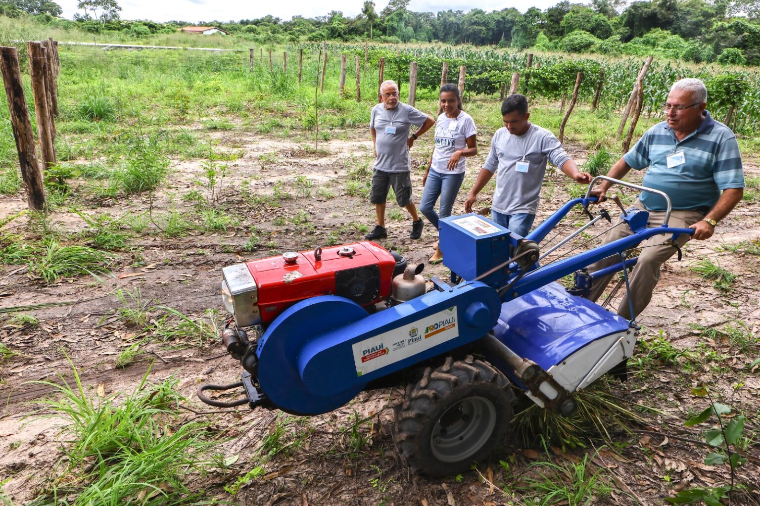 Governo do Piauí amplia apoio a 71 mil famílias rurais e aposta R$ 150 milhões em produção sustentável no semiárido