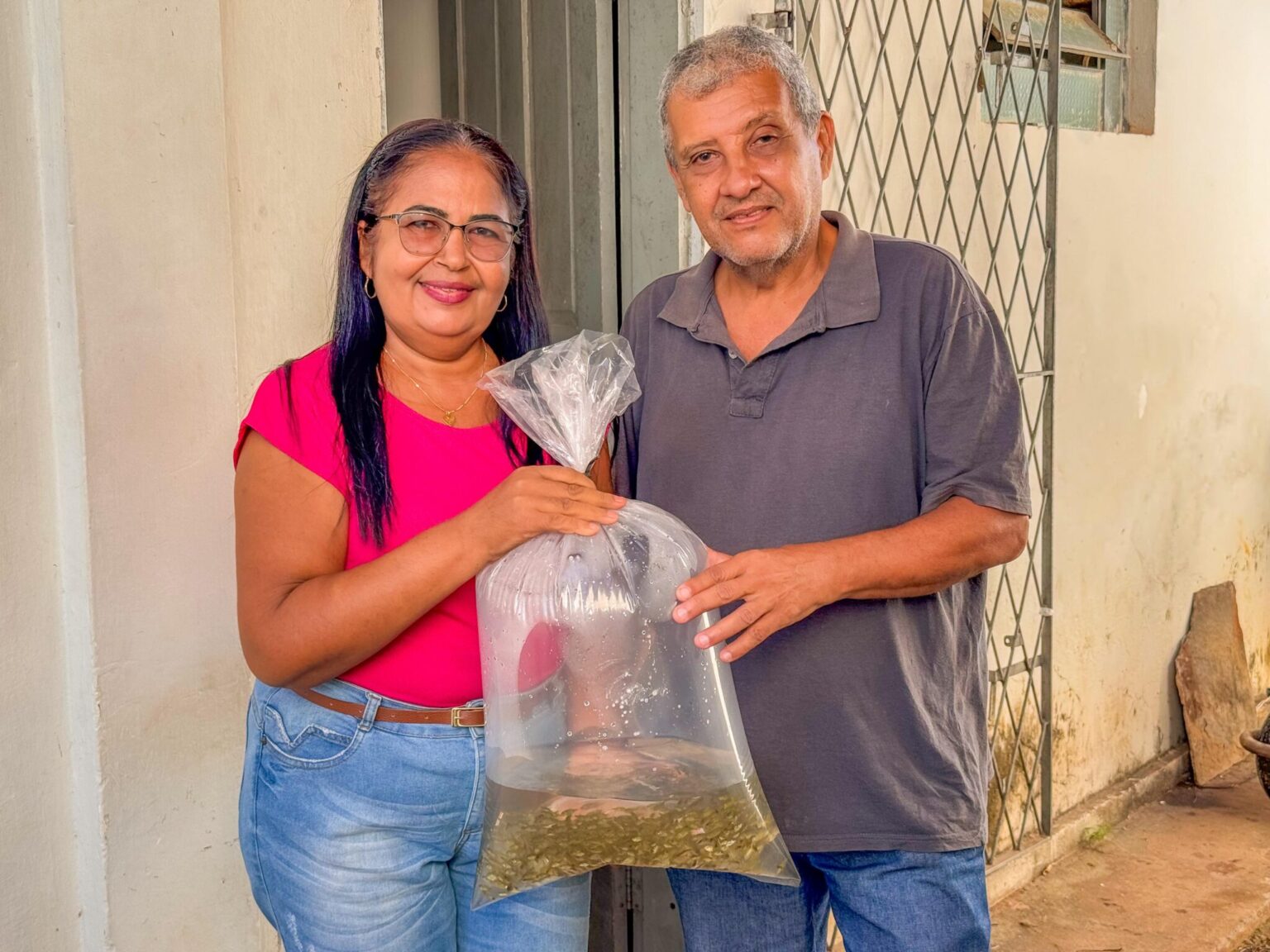 Mais de dois milhões de alevinos já foram entregues pela SAF a piscicultores do Piauí em 2025