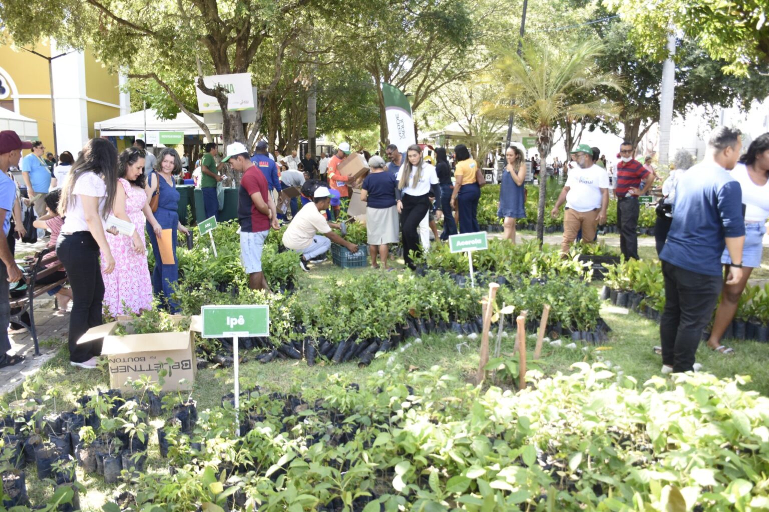 Em Floriano, Diálogos pelo Piauí atrai visitantes de outros municípios