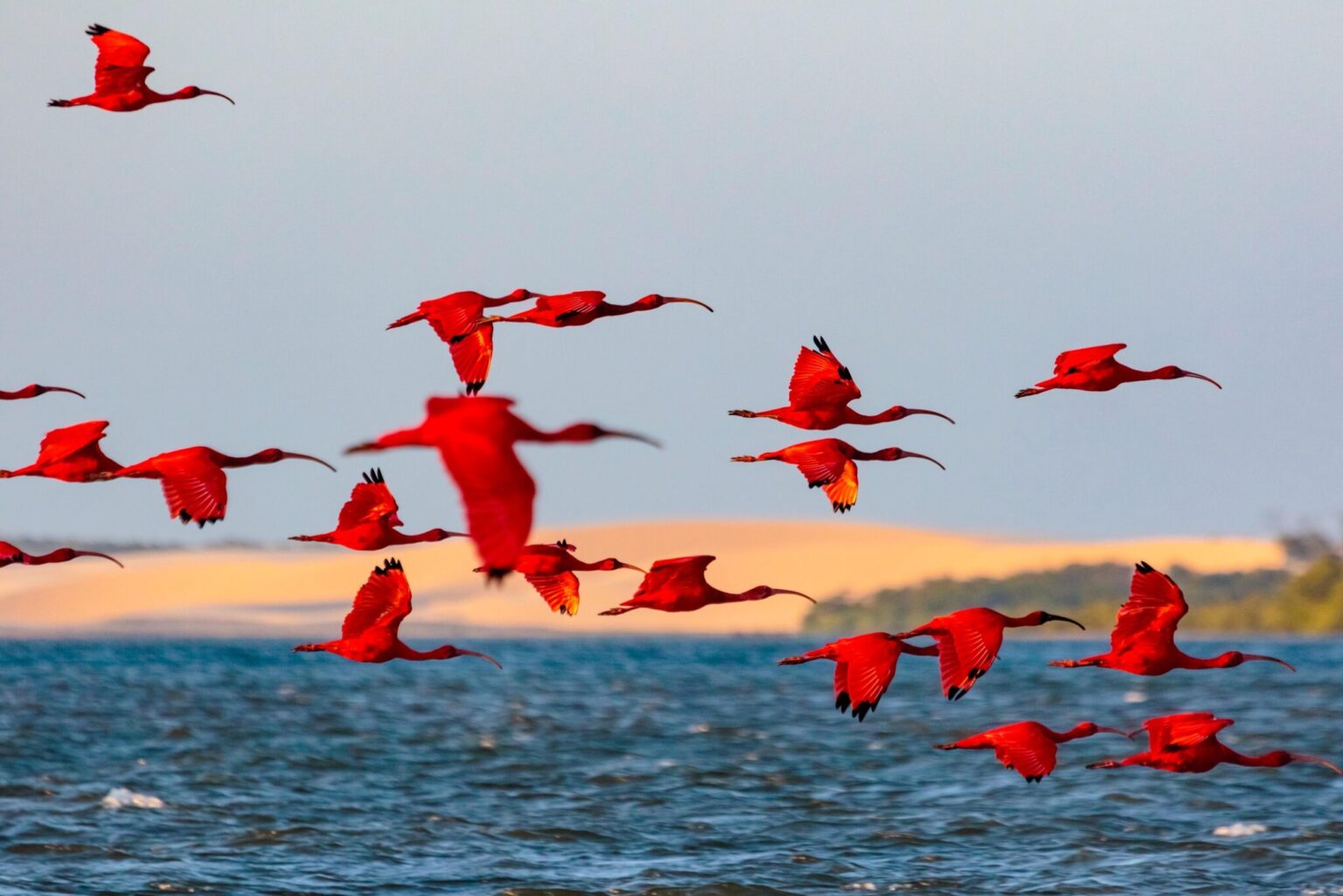 Delta do Parnaíba registra crescimento no fluxo de turistas e se destaca como referência nacional em ecoturismo