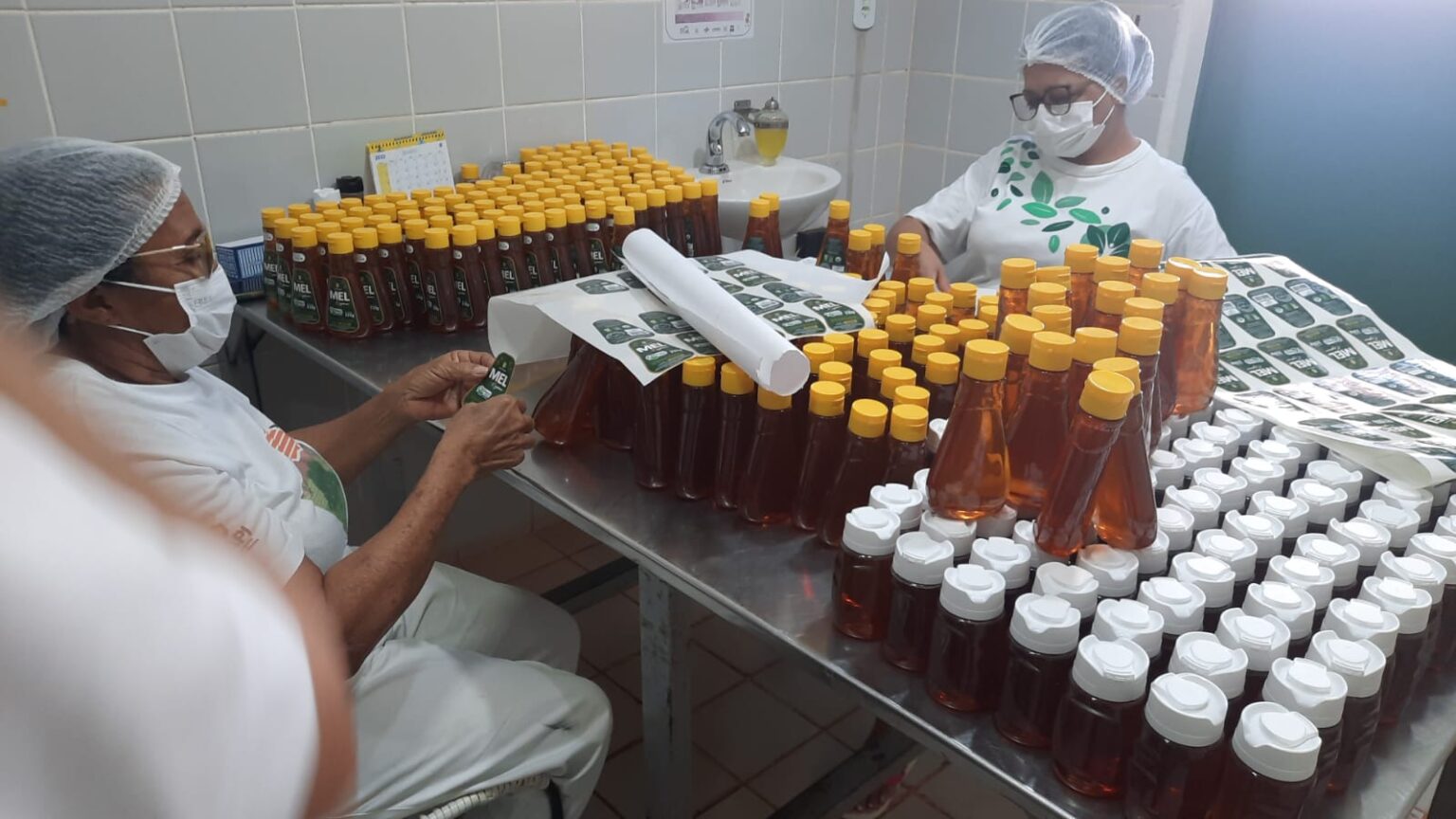 Investe Piauí articula a primeira exportação de mel de cooperativa piauiense para o Japão e fortalece a agricultura familiar