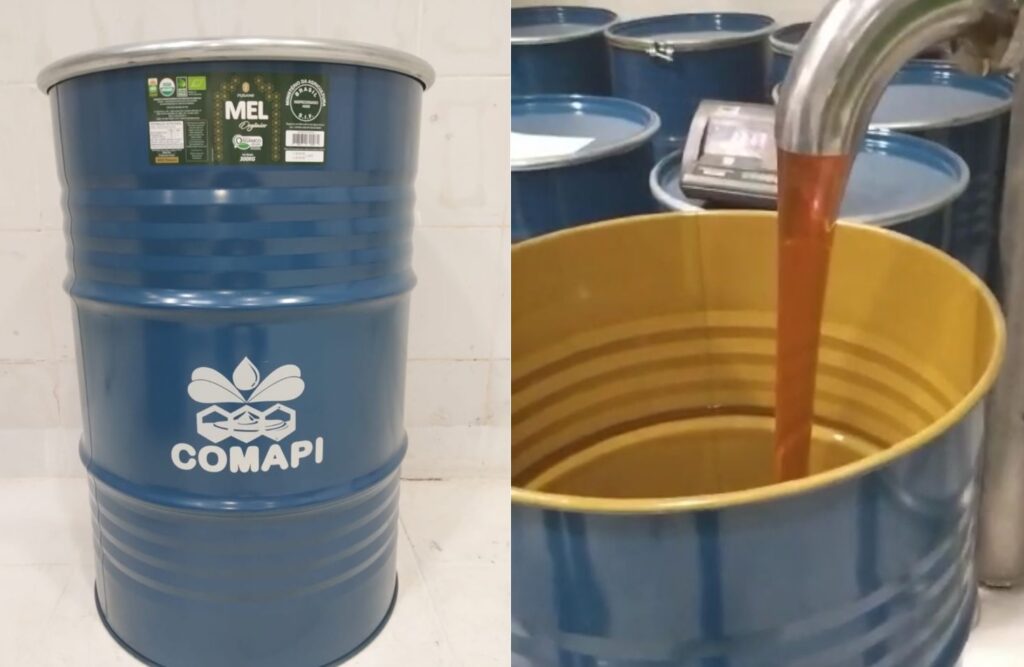 Cooperativa piauiense exporta, pela primeira vez, mel da agricultura familiar para o Japão