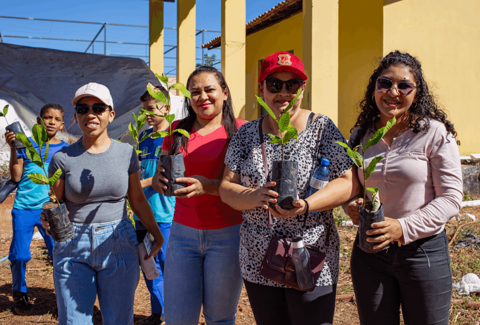 Piauí distribui mais de 66 mil mudas em 2025 e estimula cultura do plantio no estado