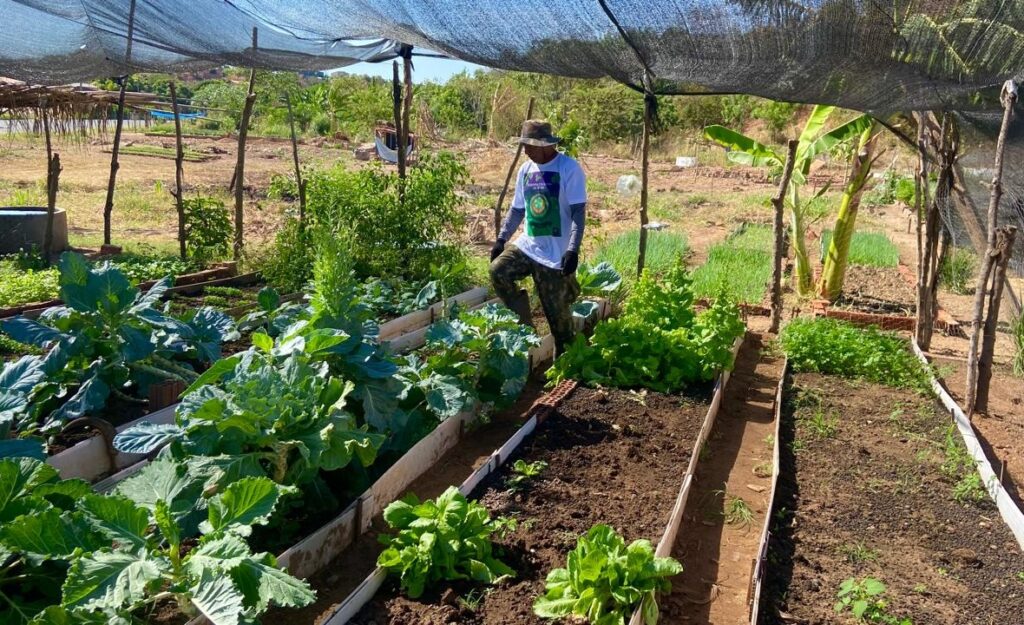 Sada realiza acompanhamento técnico de horta comunitária em Teresina