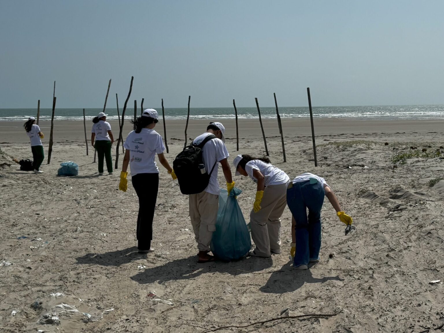 Companhia Porto Piauí mobiliza voluntários para Dia de Limpeza da Praia em Luís Correia