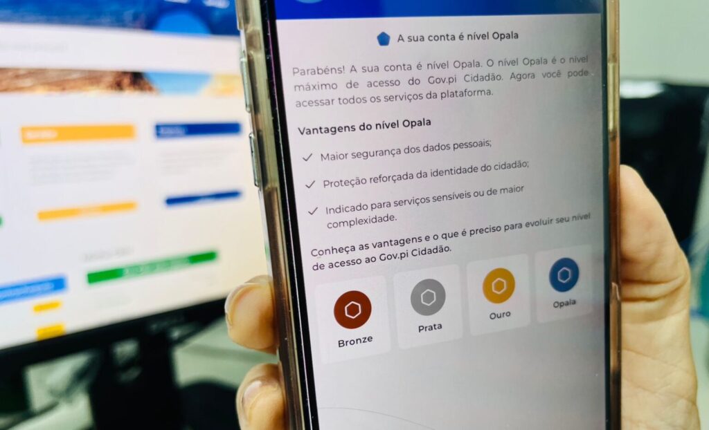 Gov.pi Cidadão adota selos para facilitar identificação de serviços digitais; conheça os benefícios
