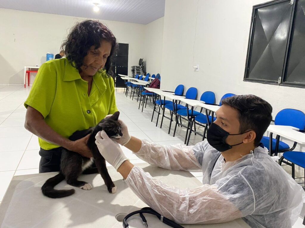 Governo do Piauí autoriza parceria para abrigar animais vítimas de maus-tratos apreendidos pela polícia