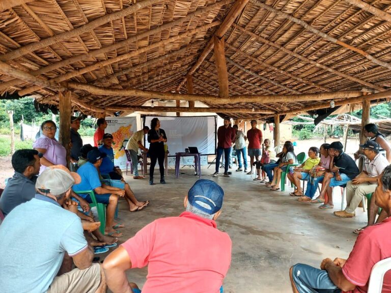 Piauí prepara planejamento que vai definir áreas de produção e preservação no Cerrado