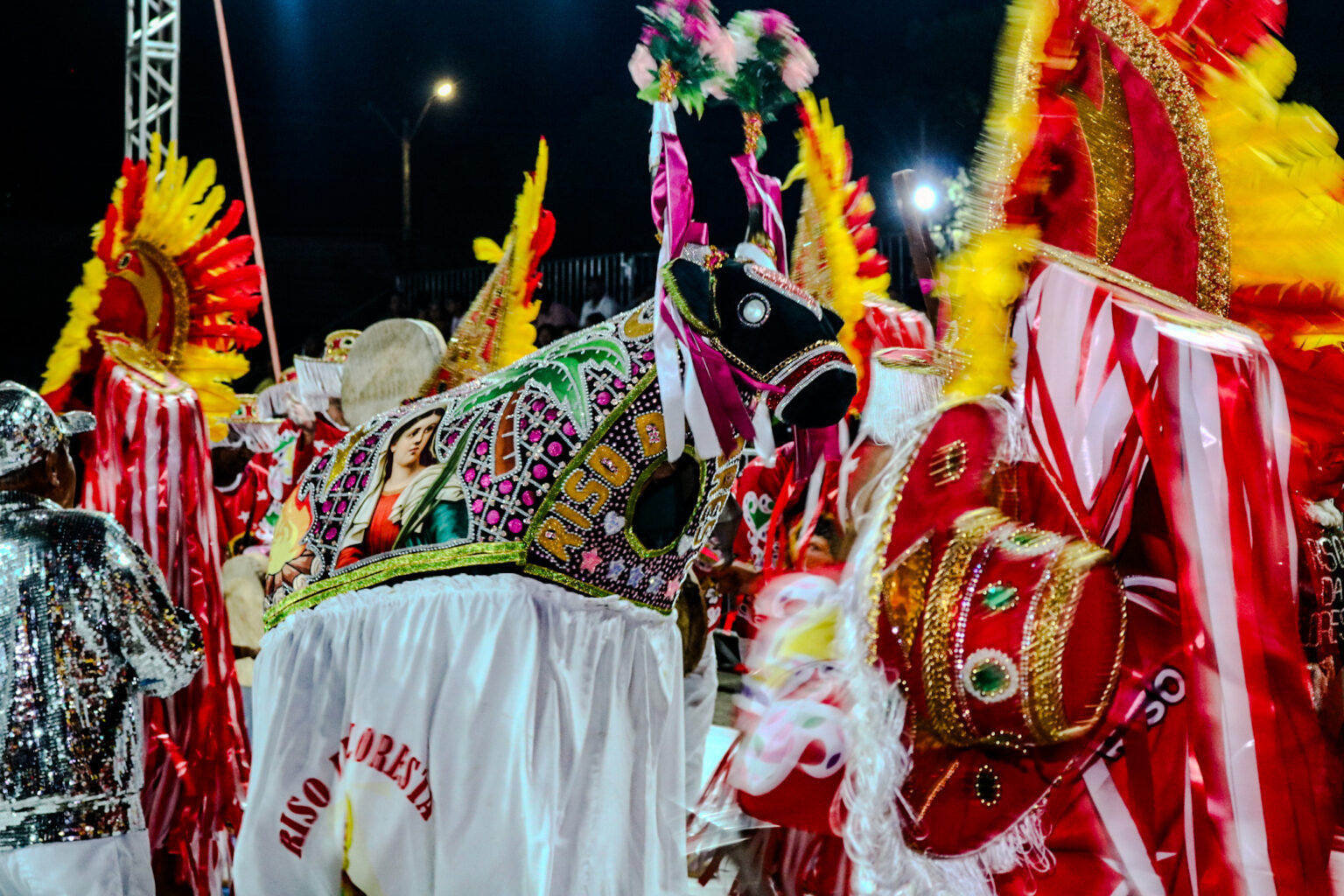 Festival de Bois destaca tradição popular durante o Encontro Nacional de Folguedos