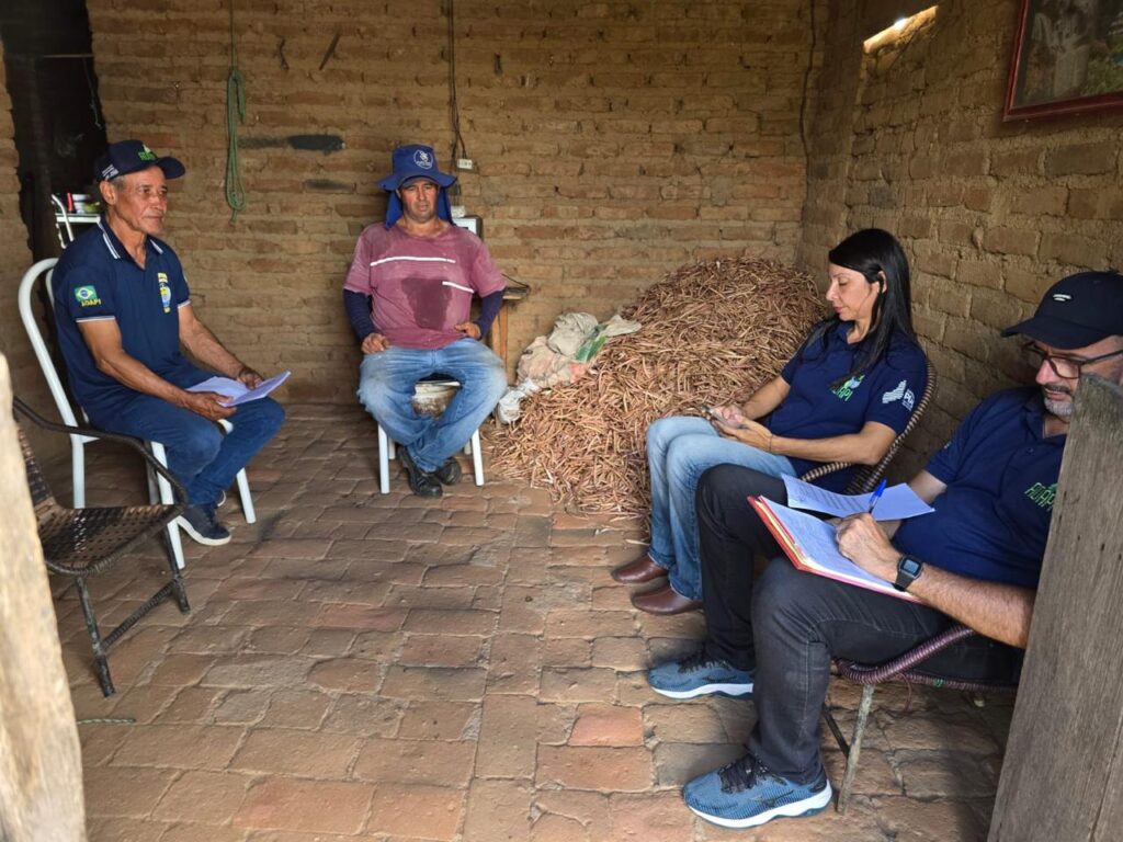 Piauí alcança 100% da meta inicial de vigilância clínica para peste suína clássica